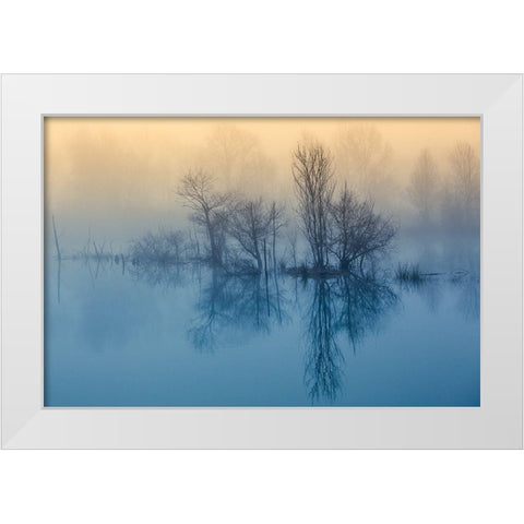 Morning reflection White Modern Wood Framed Art Print by Butali, David