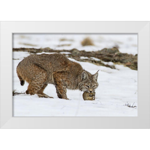 Bob the cat White Modern Wood Framed Art Print by Verdon