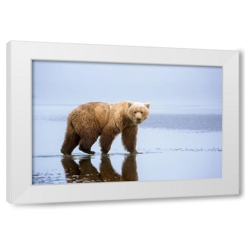 The Bear Walk White Modern Wood Framed Art Print by Doyle, Renee
