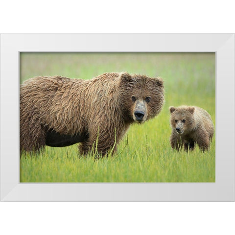 Me and Ma White Modern Wood Framed Art Print by Doyle, Renee