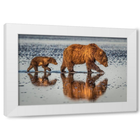 Beauty and the beast White Modern Wood Framed Art Print by Sink, Jeffrey C