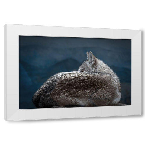 Rainy day eye White Modern Wood Framed Art Print by Itoyama, Eiji