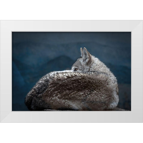Rainy day eye White Modern Wood Framed Art Print by Itoyama, Eiji