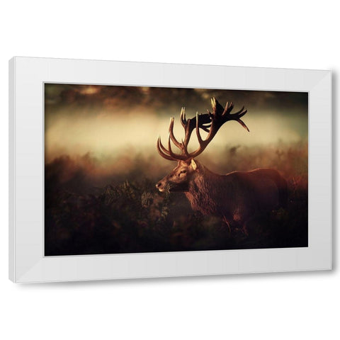 King White Modern Wood Framed Art Print by Fabrowski, Robert