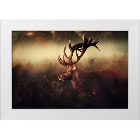 King White Modern Wood Framed Art Print by Fabrowski, Robert
