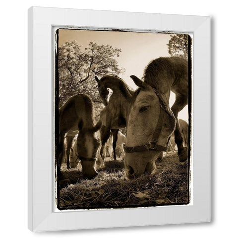 Chow Time White Modern Wood Framed Art Print by Malovrh, Milan