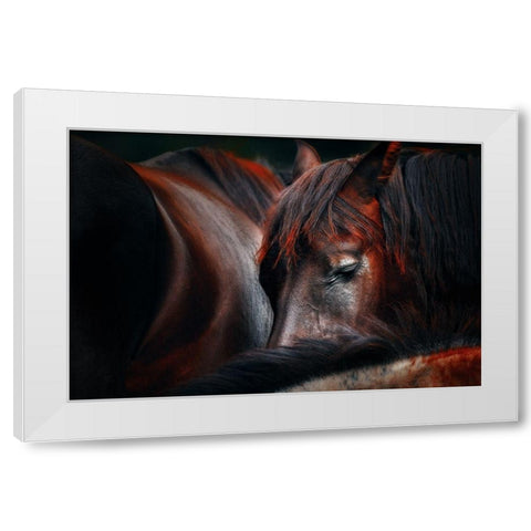 Sleep huddle White Modern Wood Framed Art Print by Stantchev, Martin