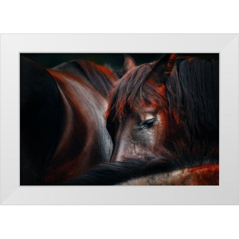 Sleep huddle White Modern Wood Framed Art Print by Stantchev, Martin