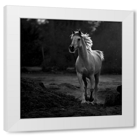 Coquetry White Modern Wood Framed Art Print by Al-Saeed, Abdullah