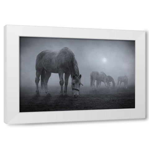 Moonlit White Modern Wood Framed Art Print by Malach, Samuel