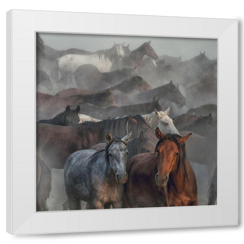Two Horses White Modern Wood Framed Art Print by Taskin, Huseyin