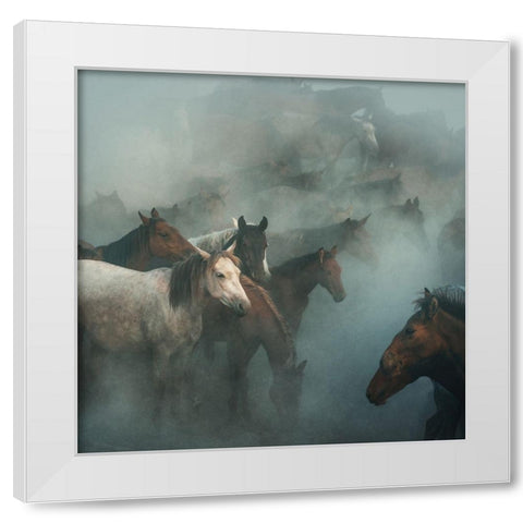 Lost Horses White Modern Wood Framed Art Print by Taskin, Huseyin