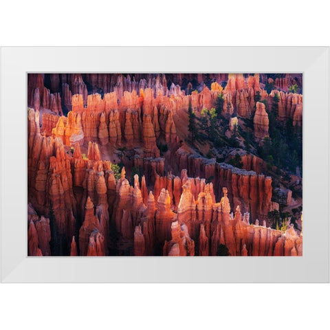 Bryce Canyon at Sunset White Modern Wood Framed Art Print by Austin