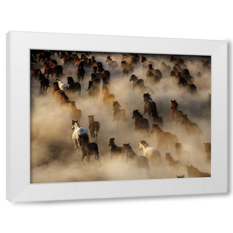 Wild horses White Modern Wood Framed Art Print by Bedir, Mehmet