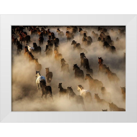 Wild horses White Modern Wood Framed Art Print by Bedir, Mehmet