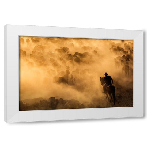 Cappadocia wild horses White Modern Wood Framed Art Print by Mirica, Dan