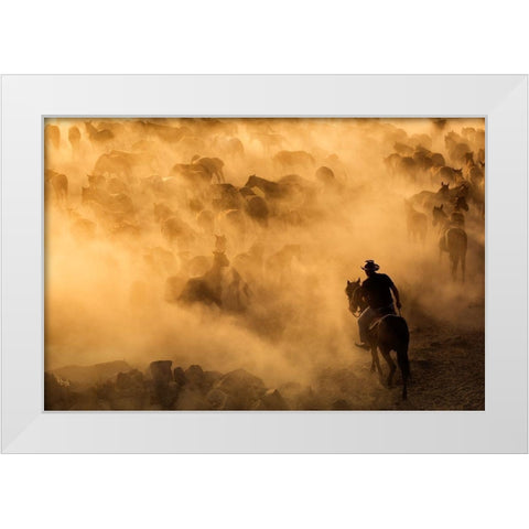 Cappadocia wild horses White Modern Wood Framed Art Print by Mirica, Dan