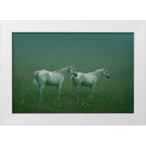 In the silent field White Modern Wood Framed Art Print by Khemkum, Ekkachai