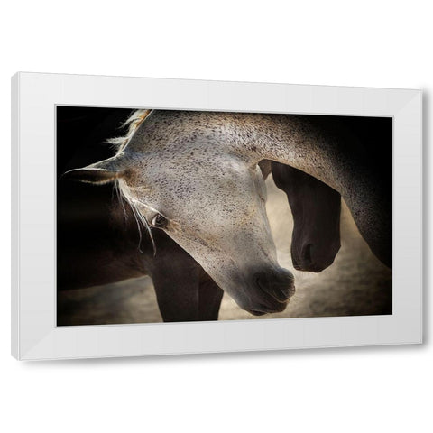 Tenderness White Modern Wood Framed Art Print by Lia, Adela