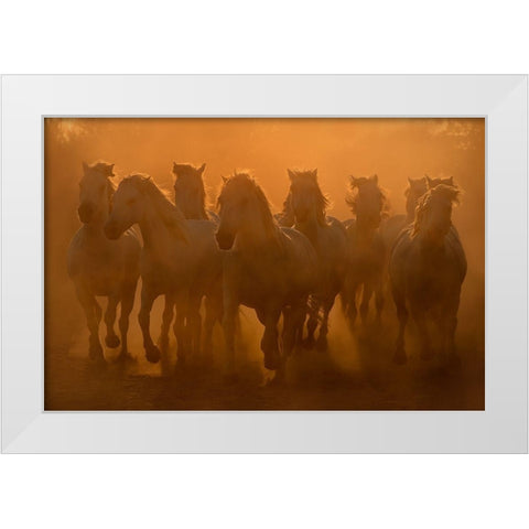 Evening ride White Modern Wood Framed Art Print by Vekemans, Muriel