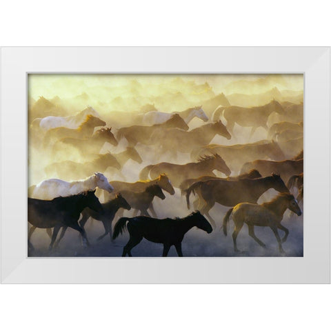 Wild horses White Modern Wood Framed Art Print by Bagci, Emir