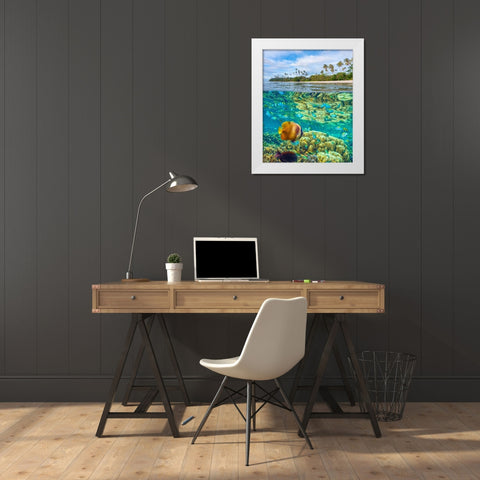 Coral and butterfly fish at Cadlao Island-Palawan-Philippines White Modern Wood Framed Art Print by Fitzharris, Tim