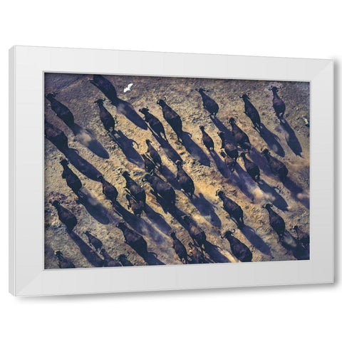 African buffalo stampede White Modern Wood Framed Art Print by Fitzharris, Tim