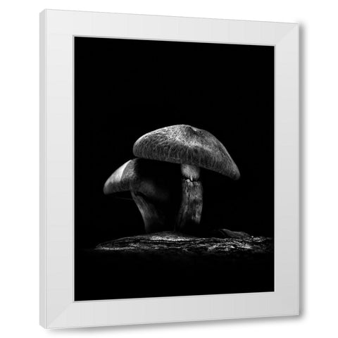 Toadstools on a Toronto Trail No 6 White Modern Wood Framed Art Print by Carson, Brian