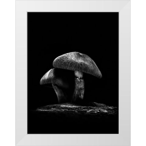 Toadstools on a Toronto Trail No 6 White Modern Wood Framed Art Print by Carson, Brian