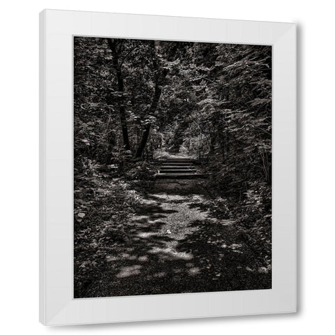 Walk in the Park White Modern Wood Framed Art Print by Carson, Brian