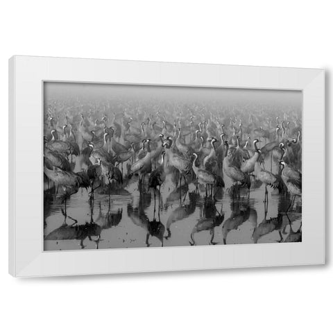 Crosspoint White Modern Wood Framed Art Print by Meirovich, ido