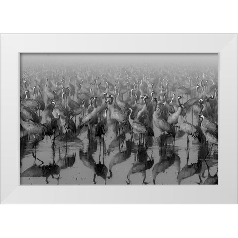 Crosspoint White Modern Wood Framed Art Print by Meirovich, ido