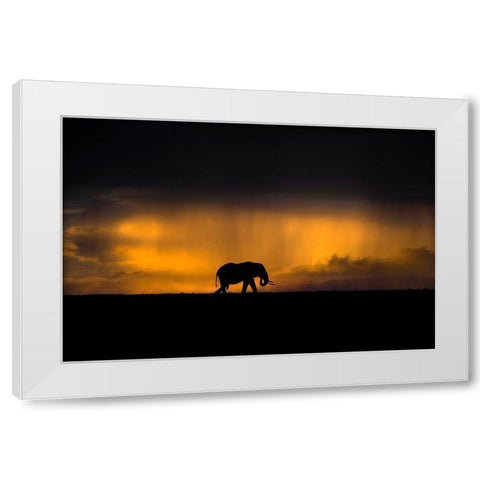 Elephant in a rain storm at sunset White Modern Wood Framed Art Print by Ortega, Xavier