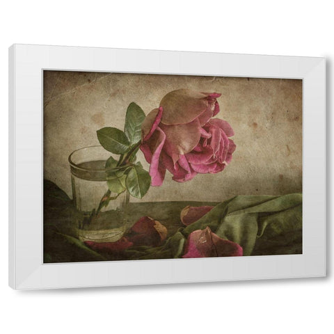 Tear of Rose White Modern Wood Framed Art Print by Tokarev, Igor