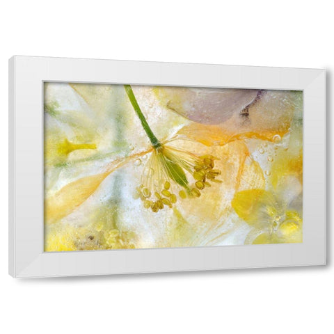 Papaver Ice White Modern Wood Framed Art Print by Disher, Mandy