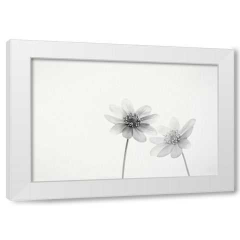 Two small flowers White Modern Wood Framed Art Print by Gronkjar, Lotte