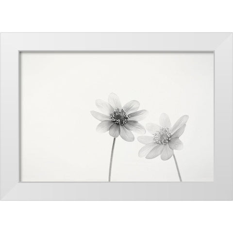 Two small flowers White Modern Wood Framed Art Print by Gronkjar, Lotte