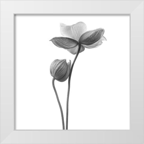 A little touch White Modern Wood Framed Art Print by Gronkjar, Lotte
