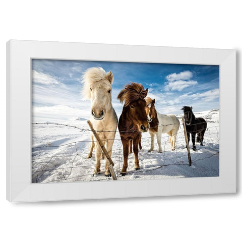 Icelandic Hair Style White Modern Wood Framed Art Print by Leske, Mike