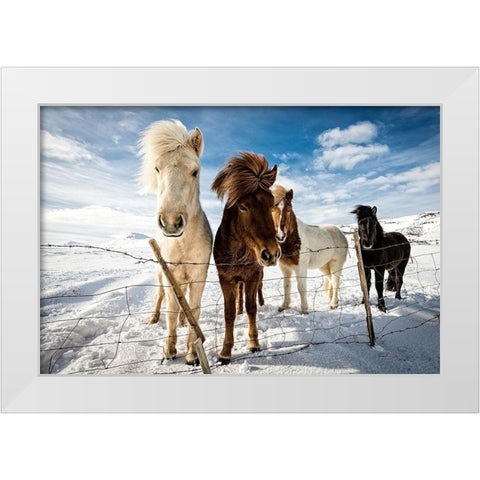 Icelandic Hair Style White Modern Wood Framed Art Print by Leske, Mike