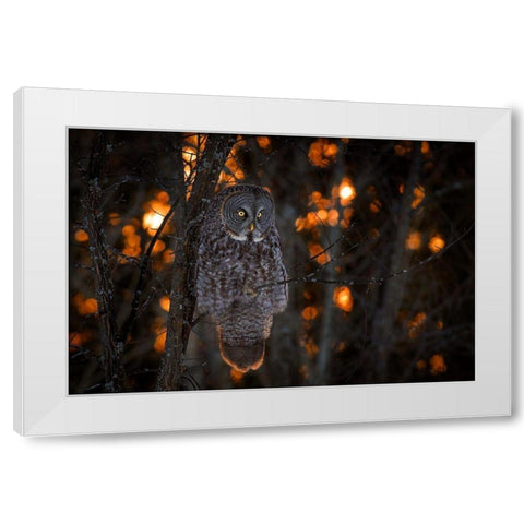 As the Sun Goes Down White Modern Wood Framed Art Print by Kalathas, Nick