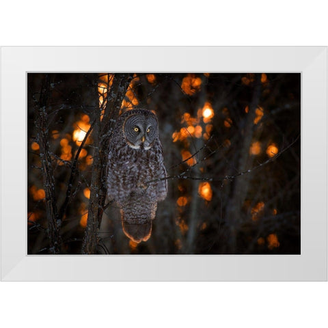 As the Sun Goes Down White Modern Wood Framed Art Print by Kalathas, Nick