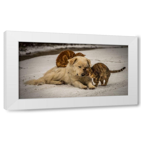 sweet effusions White Modern Wood Framed Art Print by Lucidi, Riccardo