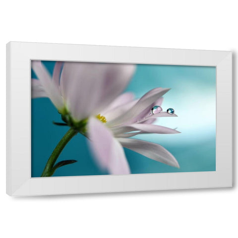 In turquoise Company White Modern Wood Framed Art Print by Westum, Heidi