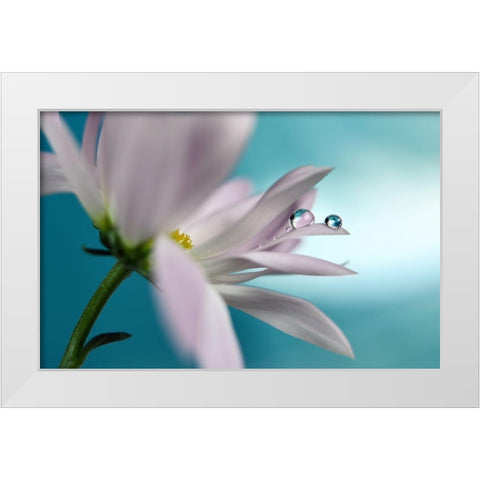 In turquoise Company White Modern Wood Framed Art Print by Westum, Heidi