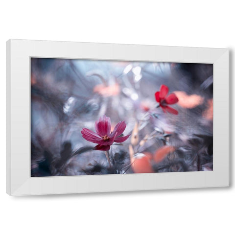 Une autre fleur, une autre histoire White Modern Wood Framed Art Print by Bravin, Fabien