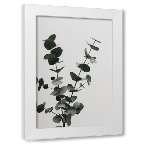 Eucalyptus Natural 04 White Modern Wood Framed Art Print by Artographie Studio