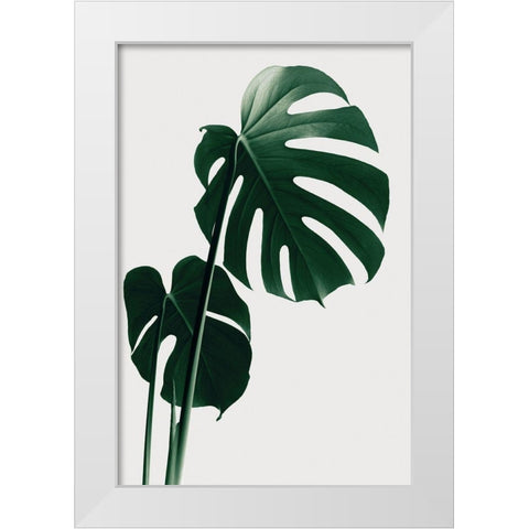 Monstera Natural 16 White Modern Wood Framed Art Print by Artographie Studio