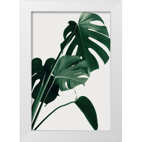 Monstera Natural 22 White Modern Wood Framed Art Print by Artographie Studio