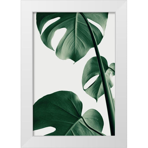 Monstera Natural 37 White Modern Wood Framed Art Print by Artographie Studio